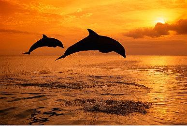 即时战术策略类肉鸽游戏《邪神大道》现已推出试玩Demo