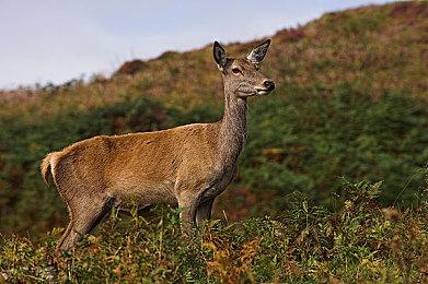 Kotaku炮轰Xbox负责人斯宾塞：是时候滚蛋了