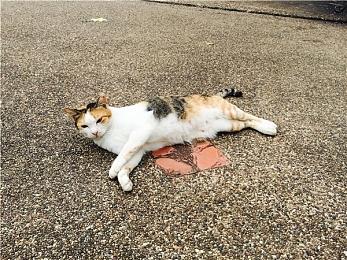 《永劫无间》全新英雄冰雁·顾清寒将于3月上线