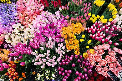 微软公布一系列即将登陆XGP的独立游戏